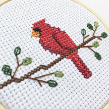 Load image into Gallery viewer, Backyard Birds Trio Pattern Bundle
