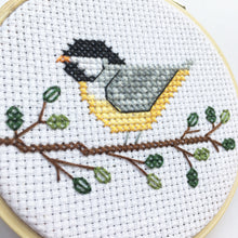 Load image into Gallery viewer, Backyard Birds Trio Pattern Bundle
